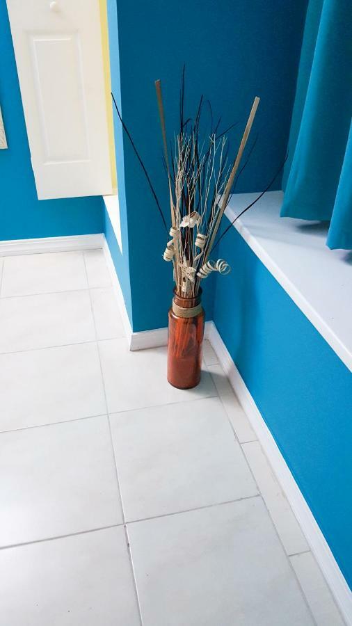 Donhead New Kingston Apt 5 ภายนอก รูปภาพ